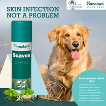 Load image into Gallery viewer, Scavon Vet Spray 100ml