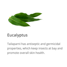 Load image into Gallery viewer, Scavon Vet Spray 100ml