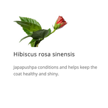 Load image into Gallery viewer, Erina Plus Coat Conditioner Cleanser 150ml