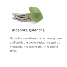 Load image into Gallery viewer, Himpyrin Liquid 30ml