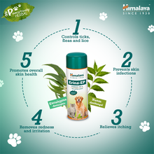 Load image into Gallery viewer, Erina EP Powder 150g