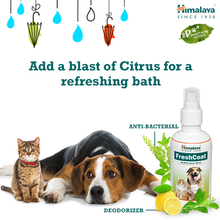 Load image into Gallery viewer, FreshCoat (Spray) 150ml