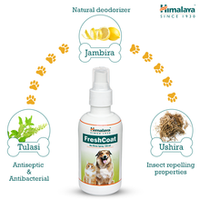 Load image into Gallery viewer, FreshCoat (Spray) 150ml