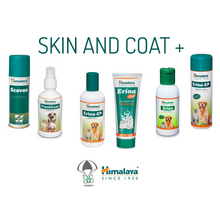 Load image into Gallery viewer, K9 Care Package Skin and Coat +
